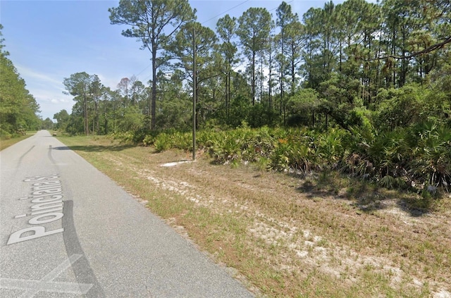 Poinciana St, Eustis, FL 32736 - photo 1