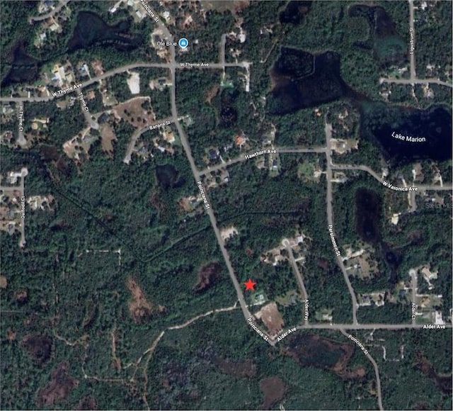 Poinciana St, Eustis, FL 32736 - photo 4