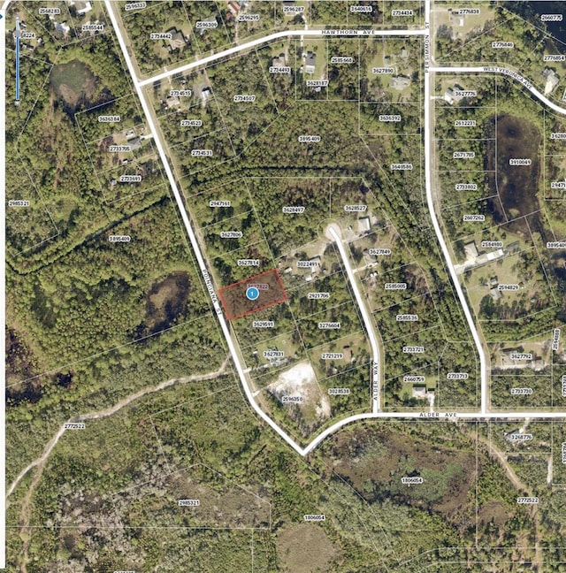 Poinciana St, Eustis, FL 32736 - photo 6