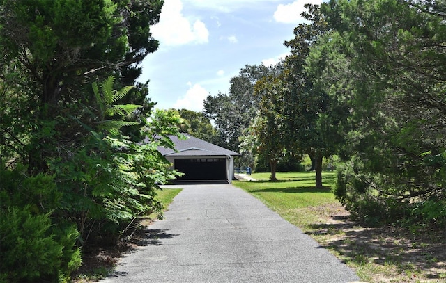 26850 Trimpi Rd, Yalaha, FL 34797 - photo 11