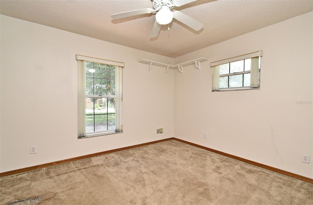 26850 Trimpi Rd, Yalaha, FL 34797 - photo 40