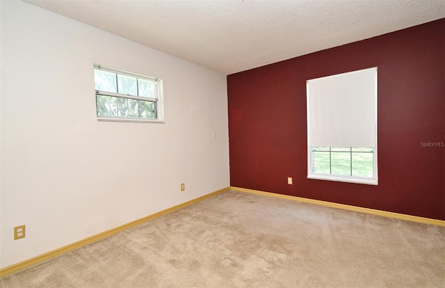 26850 Trimpi Rd, Yalaha, FL 34797 - photo 46
