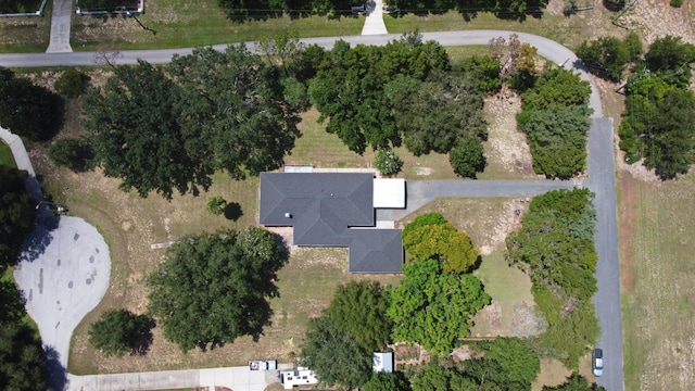 26850 Trimpi Rd, Yalaha, FL 34797 - photo 66
