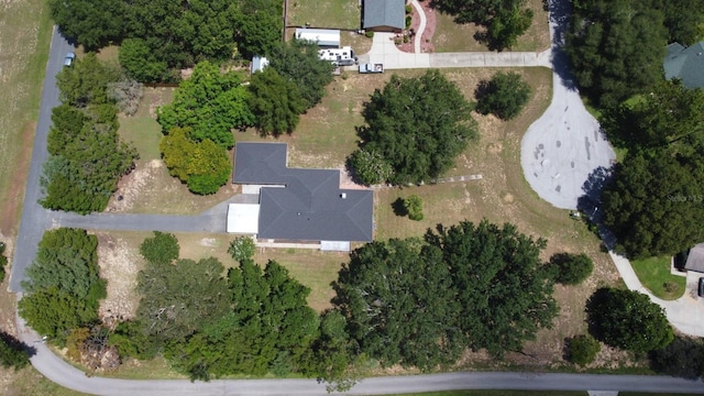 26850 Trimpi Rd, Yalaha, FL 34797 - photo 67