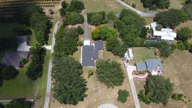 26850 Trimpi Rd, Yalaha, FL 34797 - photo 68
