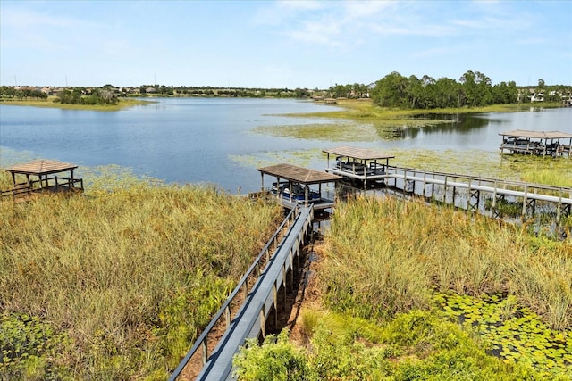 10291 Atwater Bay Dr, Winter Garden, FL 34787 - photo 5