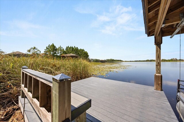 10291 Atwater Bay Dr, Winter Garden, FL 34787 - photo 56