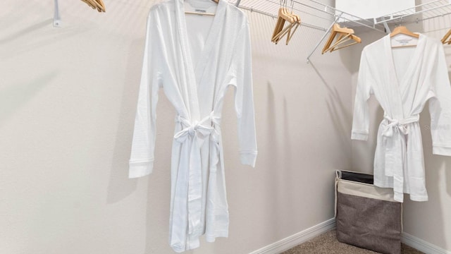 2416 Penguin Blvd, Davenport, FL 33837 - walk in closet featuring carpet