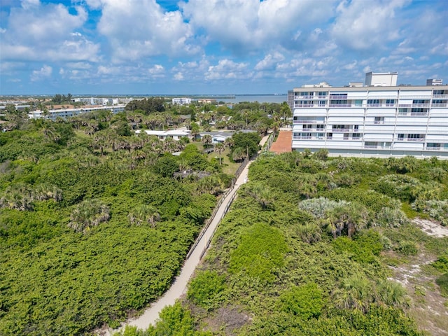 113 Surf Dr, Cocoa Beach, FL 32931 - photo 29