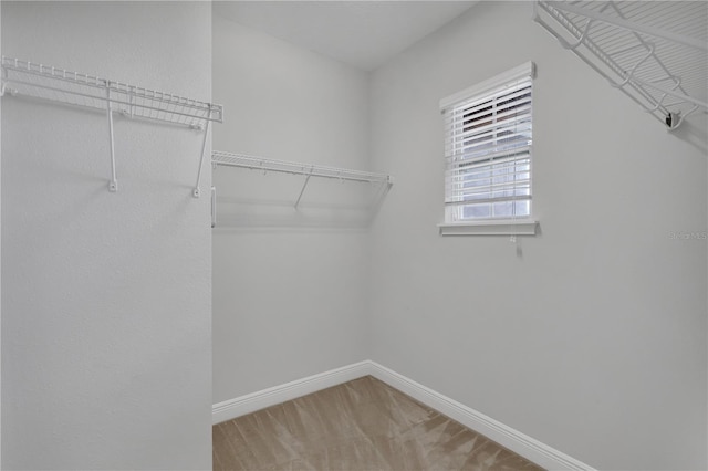 6578 Calamondin Dr, Winter Garden, FL 34787 - photo 33