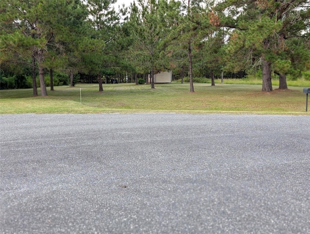 9535 NW 147th Ter, Lake Butler, FL 32054 - photo 6