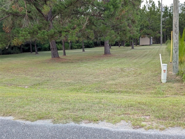 9535 NW 147th Ter, Lake Butler, FL 32054 - photo 8