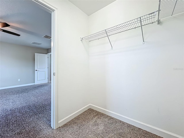 10182 Authors Way, Orlando, FL 32832 - photo 26