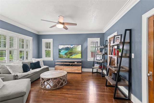 521 Sheridan Blvd, Orlando, FL 32804 - photo 6