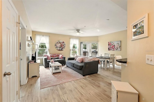 2025 Erving Cir Unit 203, Ocoee, FL 34761 - living area with ceiling fan, light wood finished floors, and healthy amount of natural light