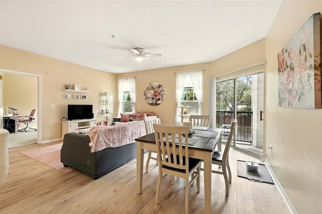 2025 Erving Cir Unit 203, Ocoee, FL 34761 - dining room featuring light wood-style flooring, healthy amount of natural light, and a ceiling fan