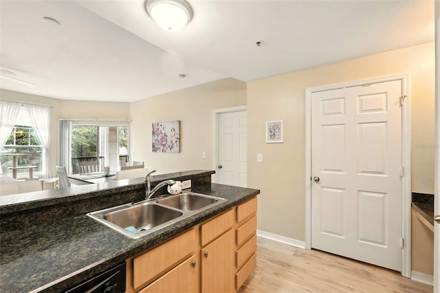2025 Erving Cir Unit 203, Ocoee, FL 34761 - kitchen featuring light wood finished floors, dark countertops, dishwasher, and light brown cabinets