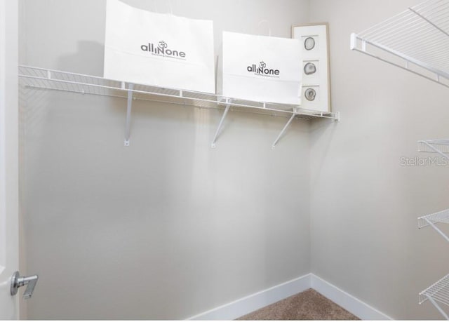 2105 Broome St, Kissimmee, FL 34743 - walk in closet with carpet