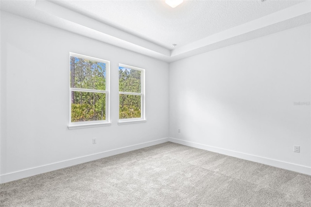 1261 Champions Dr, Daytona Beach, FL 32124 - empty room with carpet flooring, a raised ceiling, and a textured ceiling