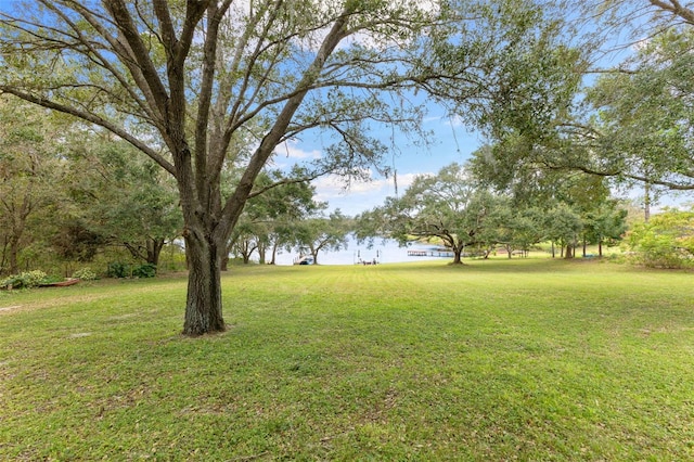 18725 S Obrien Rd, Groveland, FL 34736 - photo 65