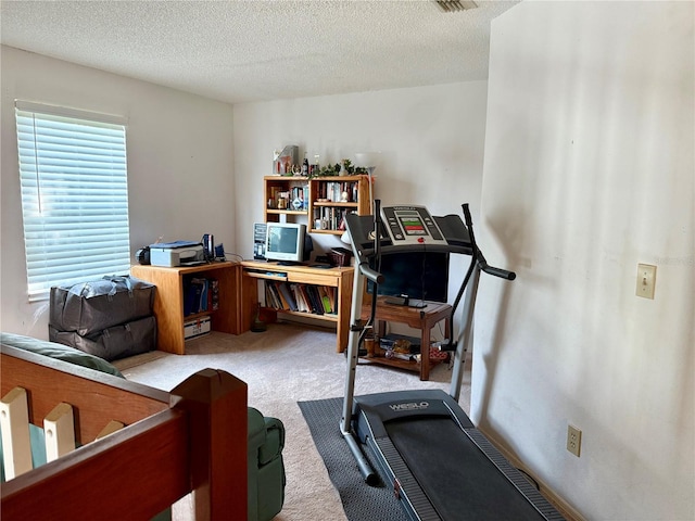 9803 Terrace Trail Ln, Temple Terrace, FL 33637 - workout area featuring carpet floors and a textured ceiling