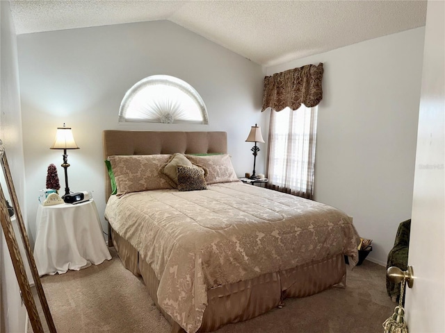 9803 Terrace Trail Ln, Temple Terrace, FL 33637 - carpeted bedroom with vaulted ceiling and a textured ceiling