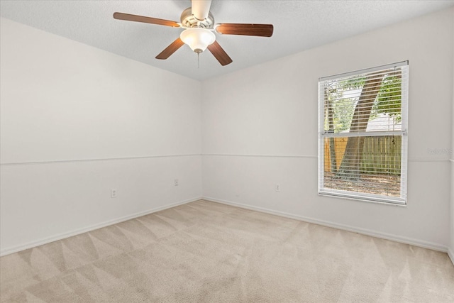 1331 Wildberry Ln, Deltona, FL 32725 - photo 22
