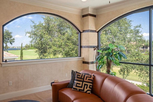 11209 Macaw Ct, Windermere, FL 34786 - sunroom with plenty of natural light