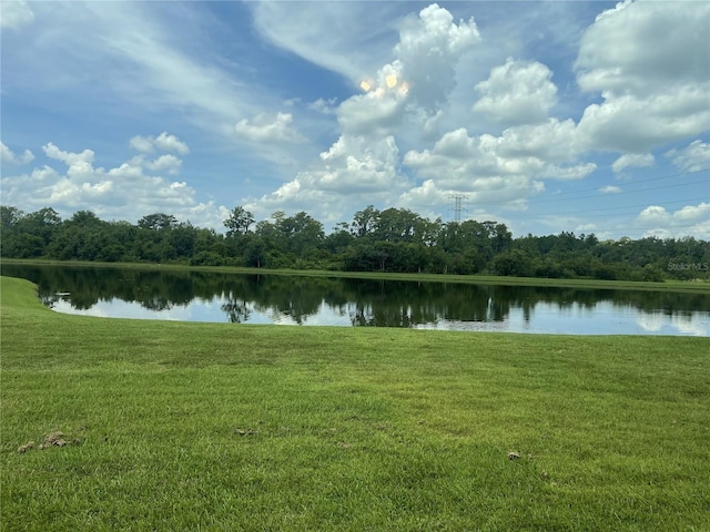 2012 Victoria Falls Dr, Orlando, FL 32824 - photo 31