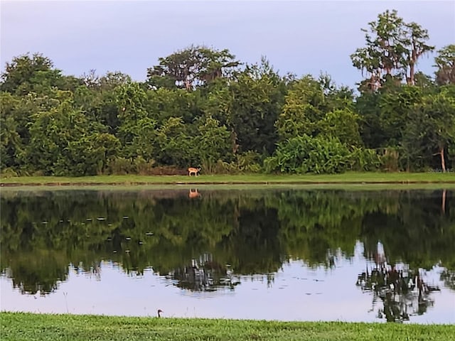 2012 Victoria Falls Dr, Orlando, FL 32824 - photo 34