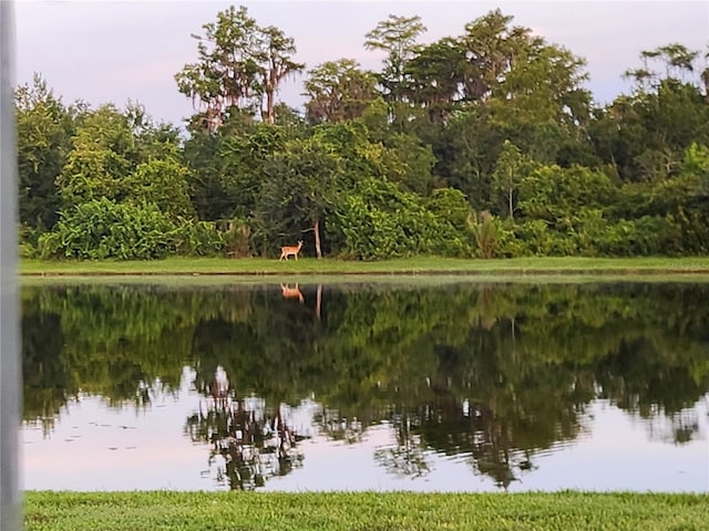 2012 Victoria Falls Dr, Orlando, FL 32824 - photo 35