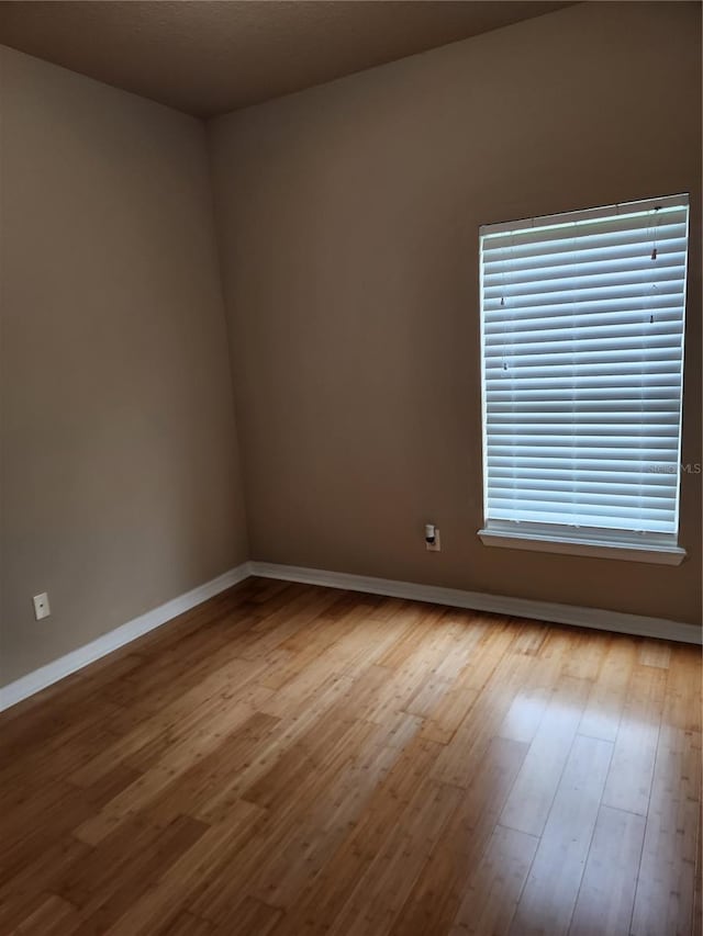 2012 Victoria Falls Dr, Orlando, FL 32824 - photo 24