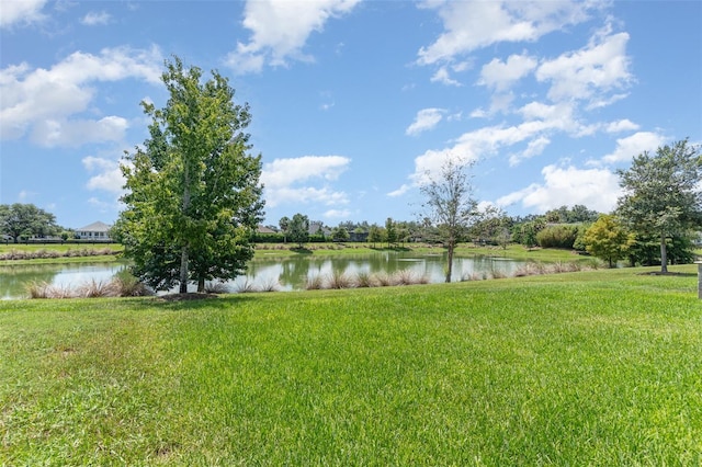 5783 Zebra Longwing Path, The Villages, FL 32163 - photo 46
