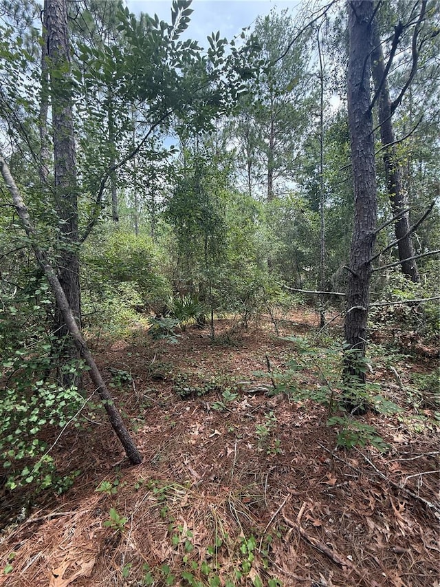 SW 38th Cir, Ocala, FL 34473 - photo 1