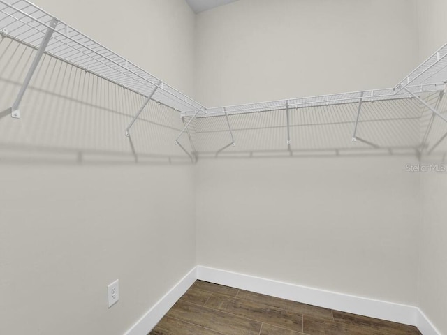 10381 Rainsville St, Port Charlotte, FL 33981 - walk in closet with dark wood-type flooring