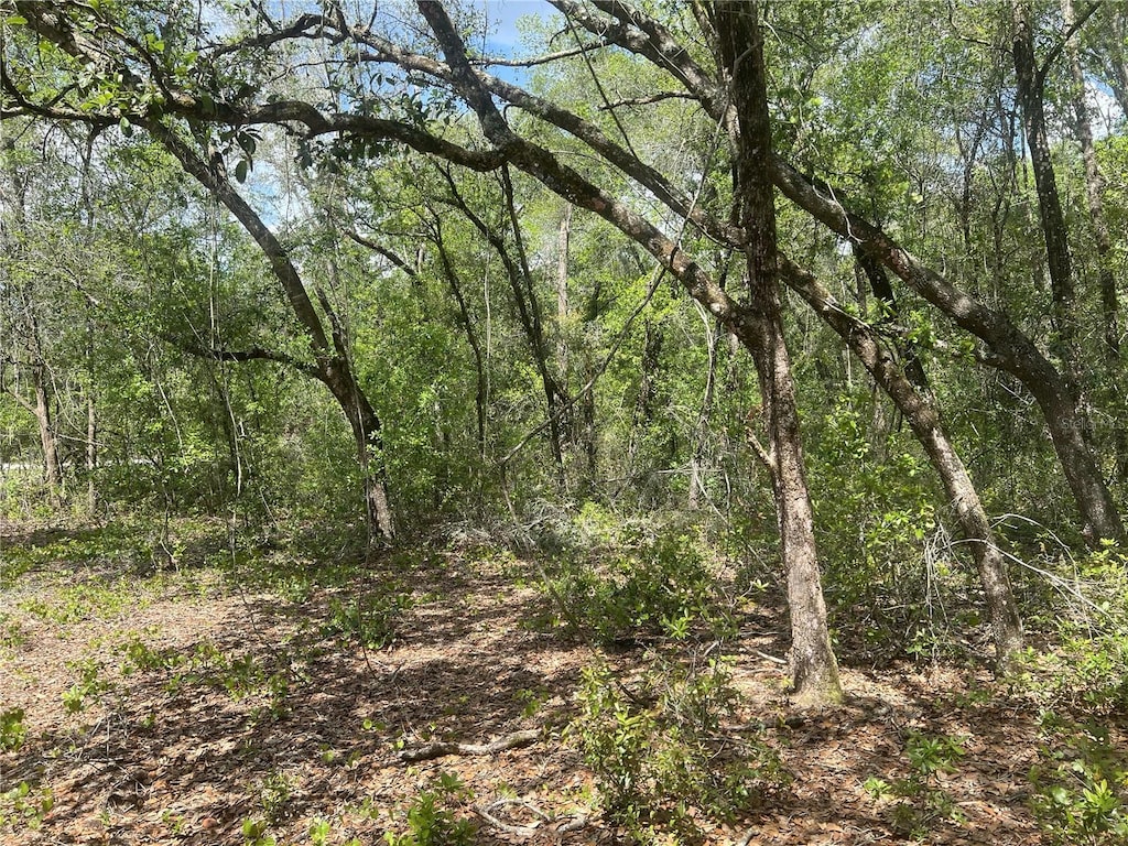 2205 Adams St, Inverness, FL 34453 - photo 1