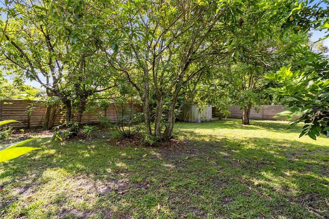 539 N Tampa Ave, Orlando, FL 32805 - photo 36