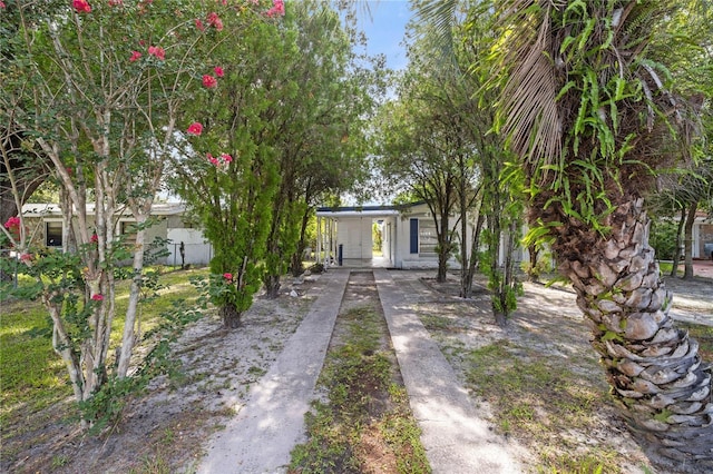 7725 Udine Ave, Orlando, FL 32819 - photo 3