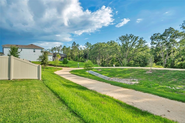 4477 Renly Ln, Clermont, FL 34711 - view of yard
