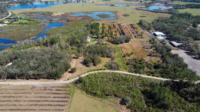 8122 Pine Island Rd, Clermont, FL 34711