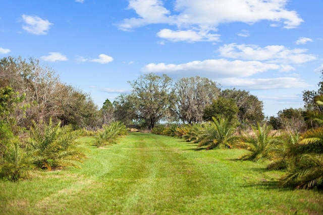 8122 Pine Island Rd, Clermont, FL 34711