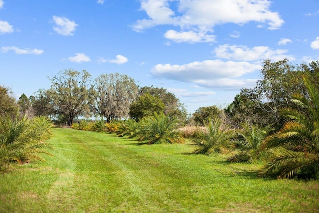 8122 Pine Island Rd, Clermont, FL 34711
