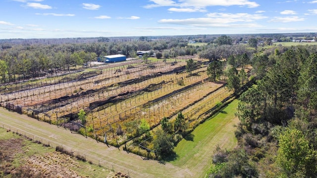 8122 Pine Island Rd, Clermont, FL 34711