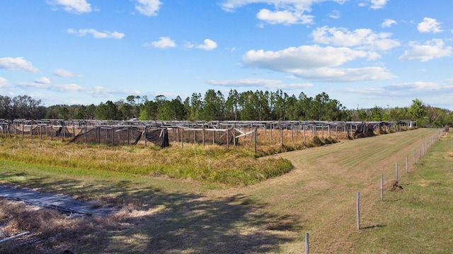 8122 Pine Island Rd, Clermont, FL 34711