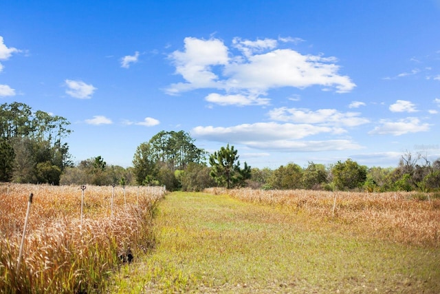 8122 Pine Island Rd, Clermont, FL 34711