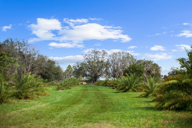 8122 Pine Island Rd, Clermont, FL 34711