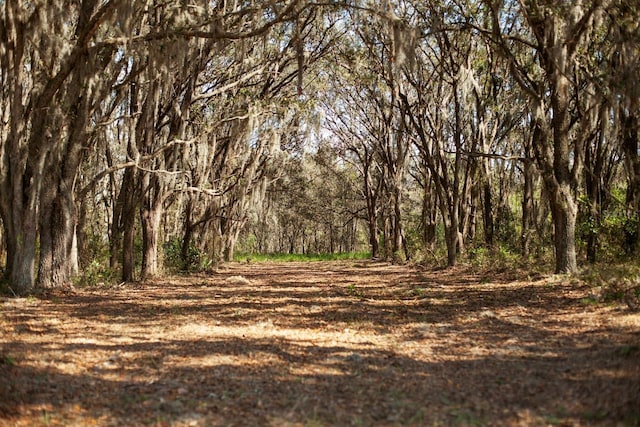 8122 Pine Island Rd, Clermont, FL 34711