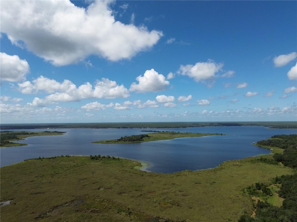 23422 NE 154th Place Rd, Salt Springs, FL 32134 - photo 1
