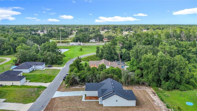 13750 SW 43rd Cir, Ocala, FL 34473 - photo 45