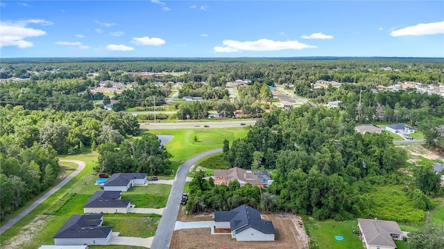 13750 SW 43rd Cir, Ocala, FL 34473 - photo 46